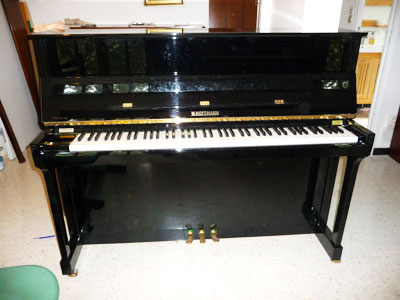 Piano Hoffmann
